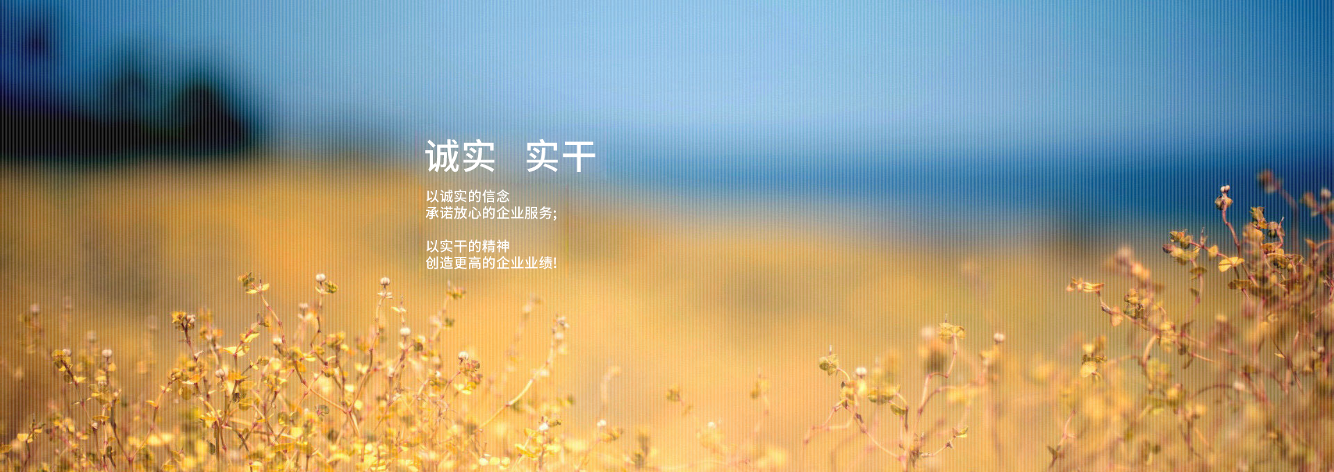 起航-實(shí)干 起航-實(shí)干